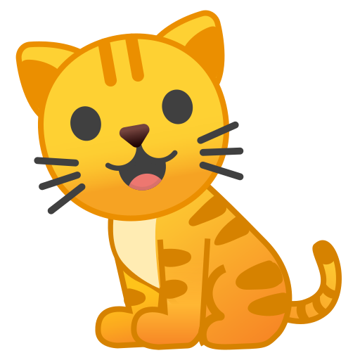 orange cat